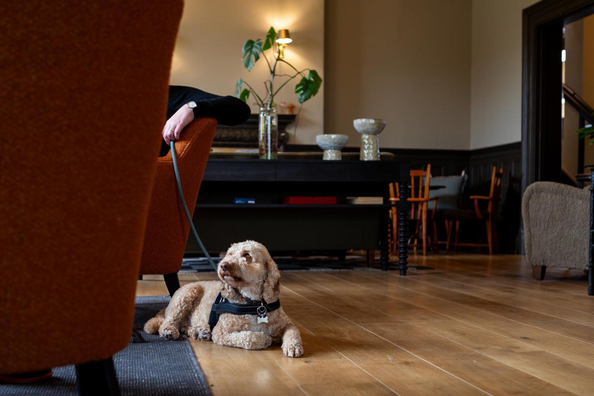 New Park Manor Hotel - A Luxury Family Hotel Брокенхърст Екстериор снимка